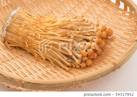Brown enoki 54317952