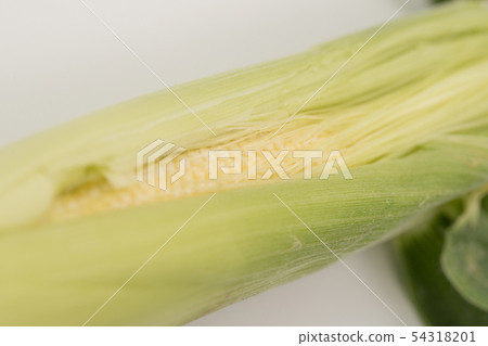 young corn young corn 54318201