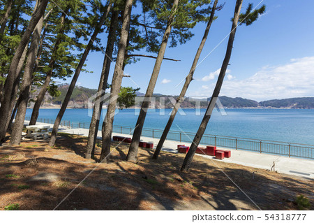 Kamaishi Nehama Coast 54318777