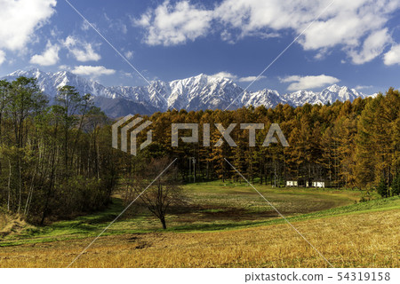 Autumn leaves of Nakayama plateau 54319158