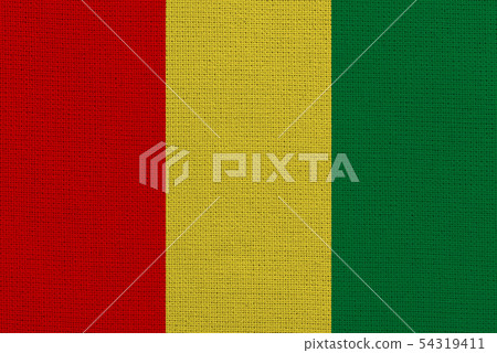 Guinea fabric flag 54319411
