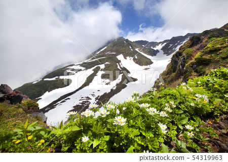 Mt. Chokai, Wildflower Trekking, Mt. Gassan, 54319963