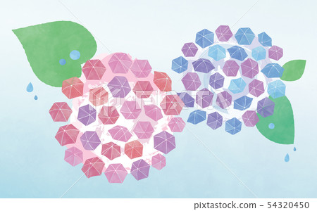 Umbrella hydrangea flowers and rain 54320450