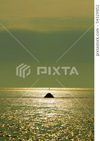 West coast. Beach, sunset, island, loneliness, West coast. Beach, sunset, island, loneliness, 54320952