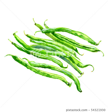 芸豆 芸豆 54321930