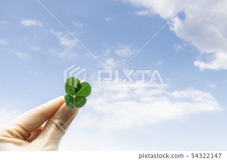 四葉三葉草 54322147