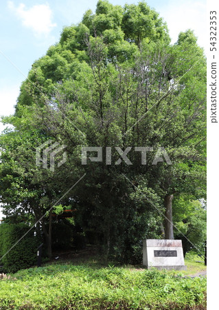 Narumi castle ruins park 54322353