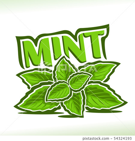 Vector logo for Mint 54324193