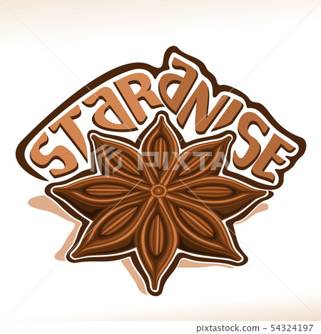 Vector logo for Star Anise 54324197