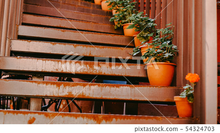 Closeup of railing and steps with flowers Closeup of railing and steps with flowers 54324703