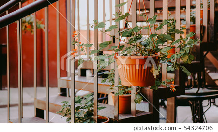 Closeup of railing and steps with flowers Closeup of railing and steps with flowers 54324706