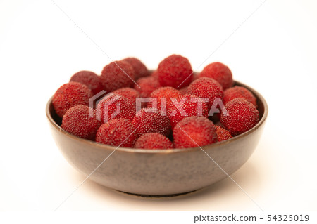 楊梅 楊梅 54325019