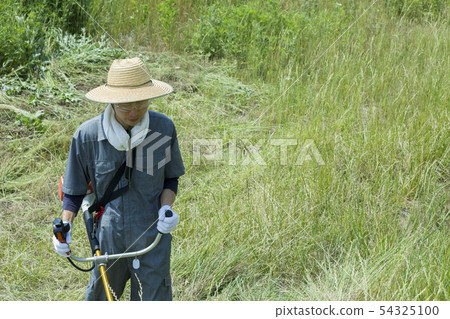 Weeding image, weeding image 54325100