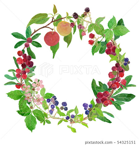 white background, lease, wreath 54325151
