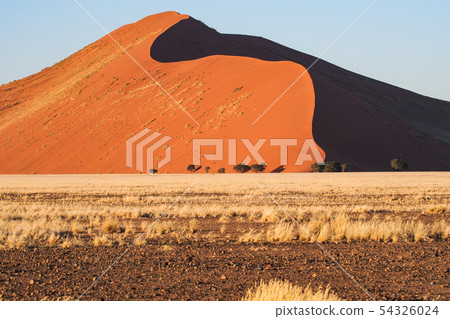 Sand dunes in the pan of Sossusvlei in Namibia. Africa. Sand dunes in the pan of Sossusvlei in Namibia. Africa. 54326024