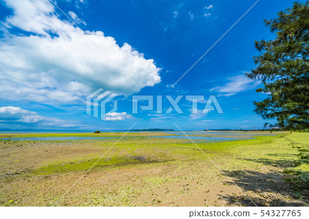 The sea of Okinawa 54327765