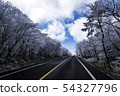 雪花，松樹，1100路，濟州市，濟州島 54327796