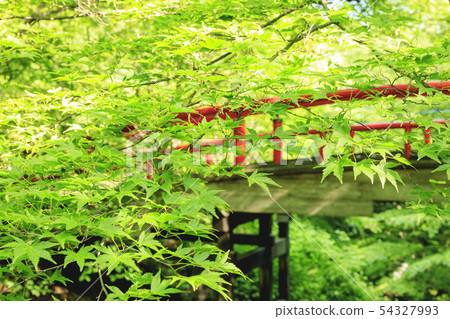 Ikaho Onsen Kawaga Bridge 54327993