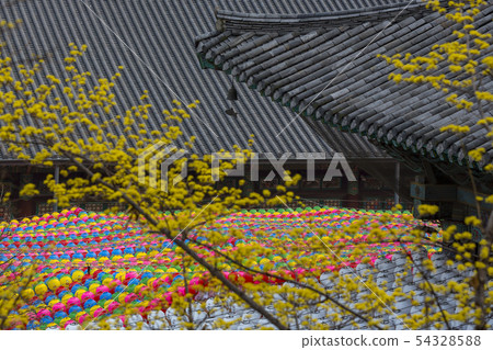 首爾江南區三成洞奉賢寺 54328588