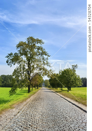 Cobble stone road shot in Poland 54328704