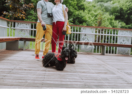 Happy adult couple standing with two scotch terriers in square Happy adult couple standing with two scotch terriers in square 54328723