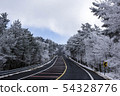 雪花，松樹，1100路，濟州市，濟州島 54328776