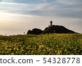 油菜籽，Bangdupo燈塔，Seopjikoji，Seongsan-eup，Seogwipo-si，Jeju-do 54328778