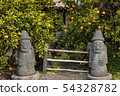 石牆，橘樹，濟州島 54328782