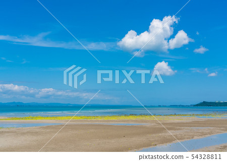 The sea of Okinawa 54328811