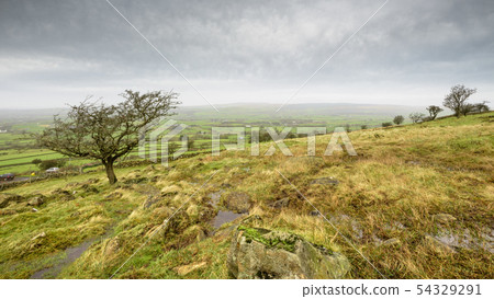 agriculture, Ballymena, barrier 54329291
