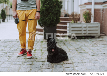 Adult man walking with black dog outdoors 54329421