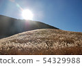 Susuki（仙石原的Susukinohara） 54329988