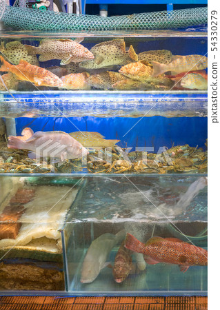 Crabs and Fish Crabs and Fish 54330279