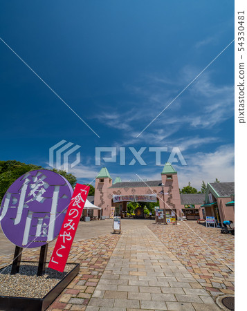 食物牡蠣探戈王國 54330481