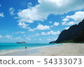 夏威夷海灘（威瑪納諾海灘） 54333073
