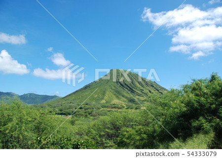 夏威夷可可頭 夏威夷可可頭 54333079