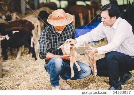 countryside farm countryside farm 54333957