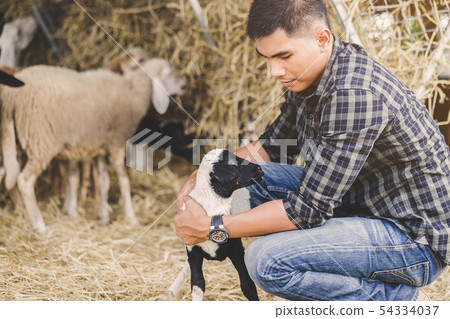 countryside farm 54334037