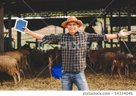 countryside farm 54334046