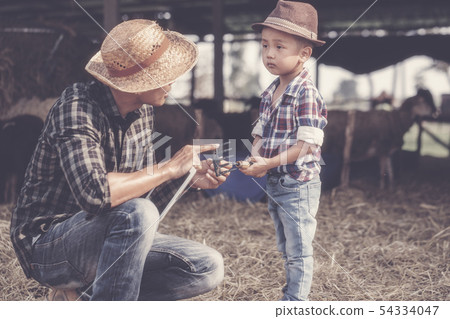 countryside farm countryside farm 54334047