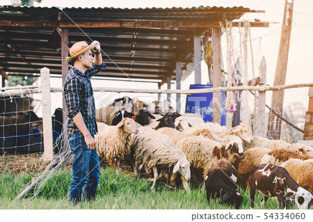 countryside farm 54334060