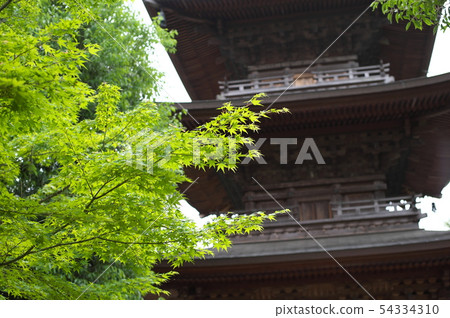 Setagaya Gotokuji New Green Triple Tower Setagaya Gotokuji New Green Triple Tower 54334310