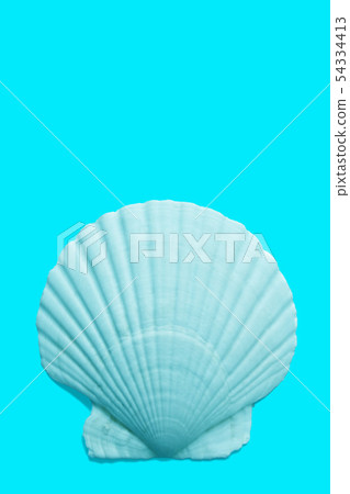Nature material of shellfish Nature material of shellfish 54334413