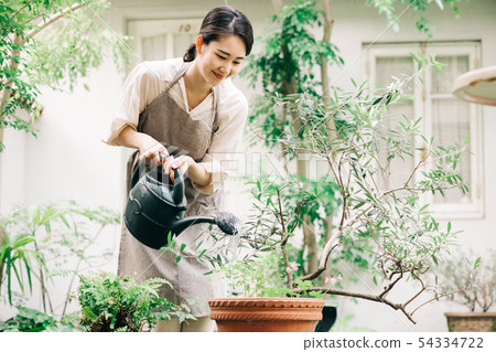 Young woman watering at Jouro Gardening Young woman watering at Jouro Gardening 54334722