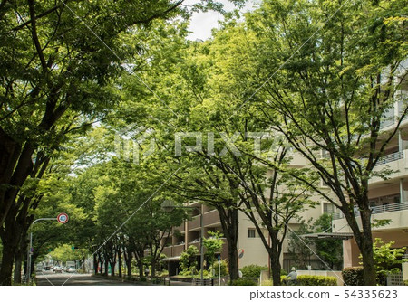 Hirakata Karigaoka Keyaki Street Hirakata Karigaoka Keyaki Street 54335623