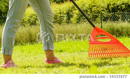 Woman using rake to clean up garden lawn Woman using rake to clean up garden lawn 54335977