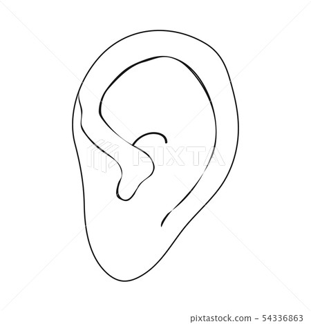 Isolated object of body and part icon. Set of body and anatomy vector icon for stock. Isolated object of body and part icon. Set of body and anatomy vector icon for stock. 54336863