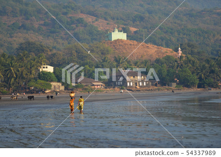 Fisherwoman at Harney Jetty, Ratanagiri 54337989