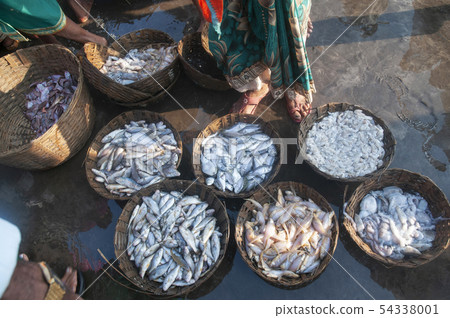 Fresh sea catch for sale, Harney Jetty, Ratnagiri 54338001