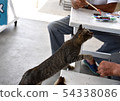 Iyashinbo cat 54338086